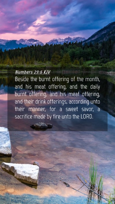 Picture 04 - Numbers 29:6 KJV Mobile Phone Wallpaper - Beside the burnt offering of the month, and his - Mobile Bible Verse Wallpaper