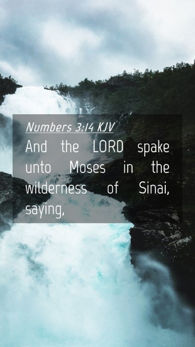Picture 04 - Numbers 3:14 KJV Mobile Phone Wallpaper - And the LORD spake unto Moses in the wilderness - Mobile Bible Verse Wallpaper