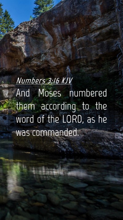 Picture 04 - Numbers 3:16 KJV Mobile Phone Wallpaper - And Moses numbered them according to the word of - Mobile Bible Verse Wallpaper