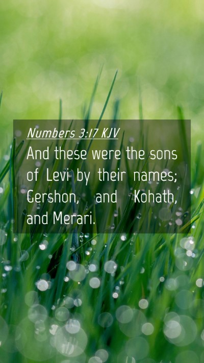 Picture 04 - Numbers 3:17 KJV Mobile Phone Wallpaper - And these were the sons of Levi by their names; - Mobile Bible Verse Wallpaper