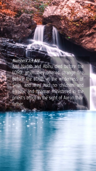 Picture 04 - Numbers 3:4 KJV Mobile Phone Wallpaper - And Nadab and Abihu died before the LORD, when - Mobile Bible Verse Wallpaper