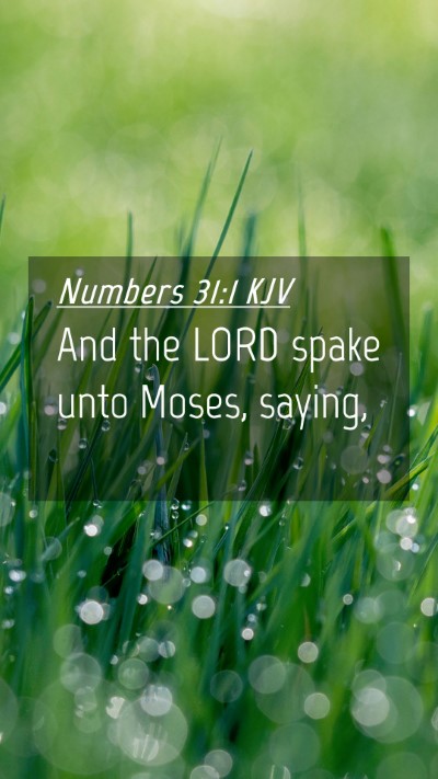 Picture 04 - Numbers 31:1 KJV Mobile Phone Wallpaper - And the LORD spake unto Moses, - Mobile Bible Verse Wallpaper