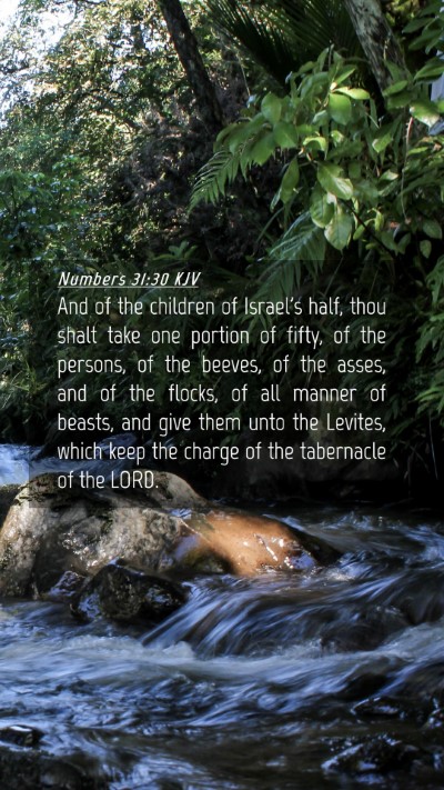 Picture 04 - Numbers 31:30 KJV Mobile Phone Wallpaper - And of the children of Israel's half, thou shalt - Mobile Bible Verse Wallpaper