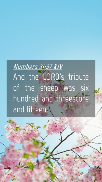 Picture 04 - Numbers 31:37 KJV Mobile Phone Wallpaper - And the LORD's tribute of the sheep was six - Mobile Bible Verse Wallpaper