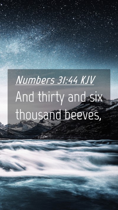 Picture 04 - Numbers 31:44 KJV Mobile Phone Wallpaper - And thirty and six thousand - Mobile Bible Verse Wallpaper