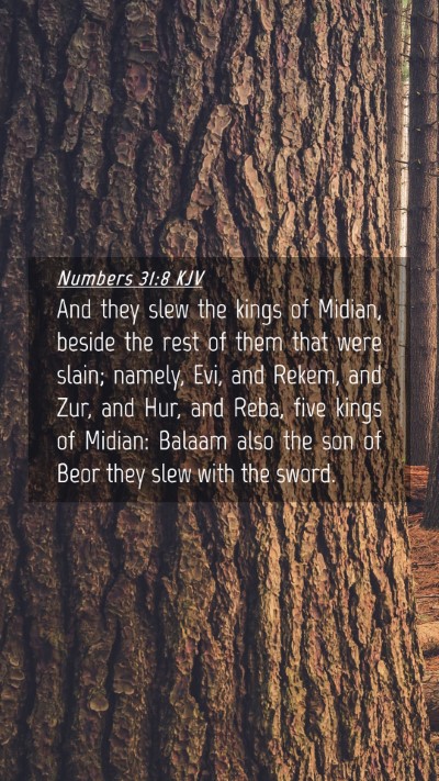 Picture 04 - Numbers 31:8 KJV Mobile Phone Wallpaper - And they slew the kings of Midian, beside the - Mobile Bible Verse Wallpaper