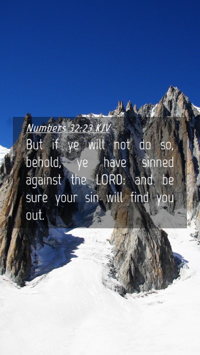 Picture 04 - Numbers 32:23 KJV Mobile Phone Wallpaper - But if ye will not do so, behold, ye have sinned - Mobile Bible Verse Wallpaper