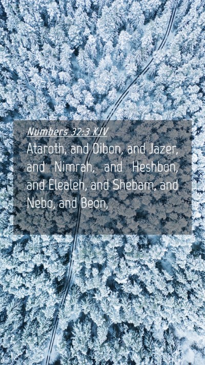 Picture 04 - Numbers 32:3 KJV Mobile Phone Wallpaper - Ataroth, and Dibon, and Jazer, and Nimrah, and - Mobile Bible Verse Wallpaper