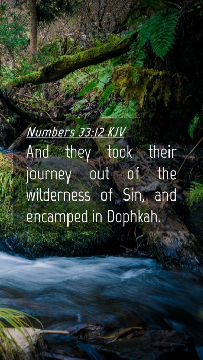 Picture 04 - Numbers 33:12 KJV Mobile Phone Wallpaper - And they took their journey out of the wilderness - Mobile Bible Verse Wallpaper