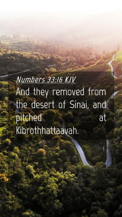 Picture 04 - Numbers 33:16 KJV Mobile Phone Wallpaper - And they removed from the desert of Sinai, and - Mobile Bible Verse Wallpaper