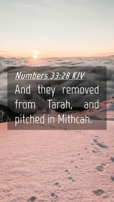 Picture 04 - Numbers 33:28 KJV Mobile Phone Wallpaper - And they removed from Tarah, and pitched in - Mobile Bible Verse Wallpaper