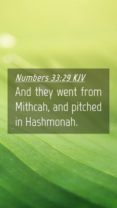 Picture 04 - Numbers 33:29 KJV Mobile Phone Wallpaper - And they went from Mithcah, and pitched in - Mobile Bible Verse Wallpaper