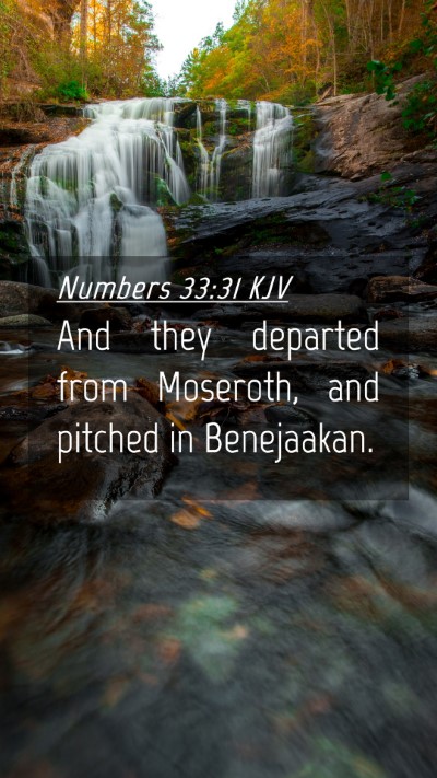 Picture 04 - Numbers 33:31 KJV Mobile Phone Wallpaper - And they departed from Moseroth, and pitched in - Mobile Bible Verse Wallpaper