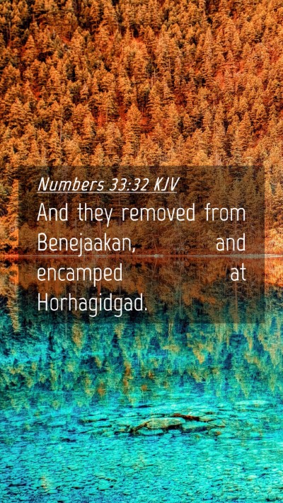 Picture 04 - Numbers 33:32 KJV Mobile Phone Wallpaper - And they removed from Benejaakan, and encamped at - Mobile Bible Verse Wallpaper
