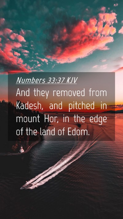 Picture 04 - Numbers 33:37 KJV Mobile Phone Wallpaper - And they removed from Kadesh, and pitched in - Mobile Bible Verse Wallpaper