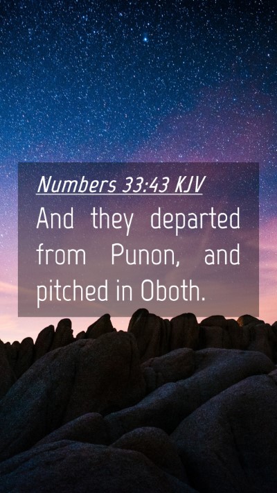 Picture 04 - Numbers 33:43 KJV Mobile Phone Wallpaper - And they departed from Punon, and pitched in - Mobile Bible Verse Wallpaper