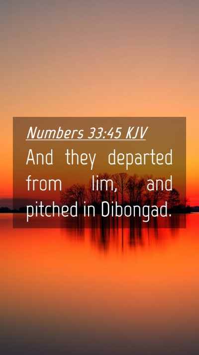 Picture 04 - Numbers 33:45 KJV Mobile Phone Wallpaper - And they departed from Iim, and pitched in - Mobile Bible Verse Wallpaper