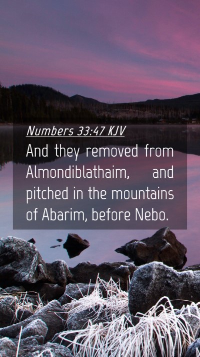 Picture 04 - Numbers 33:47 KJV Mobile Phone Wallpaper - And they removed from Almondiblathaim, and - Mobile Bible Verse Wallpaper