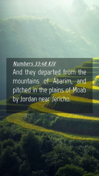 Picture 04 - Numbers 33:48 KJV Mobile Phone Wallpaper - And they departed from the mountains of Abarim, - Mobile Bible Verse Wallpaper