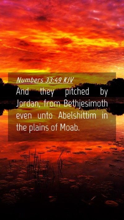 Picture 04 - Numbers 33:49 KJV Mobile Phone Wallpaper - And they pitched by Jordan, from Bethjesimoth - Mobile Bible Verse Wallpaper