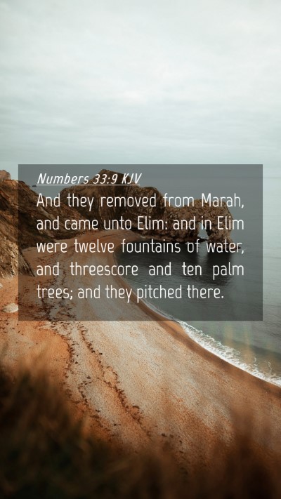 Picture 04 - Numbers 33:9 KJV Mobile Phone Wallpaper - And they removed from Marah, and came unto Elim: - Mobile Bible Verse Wallpaper