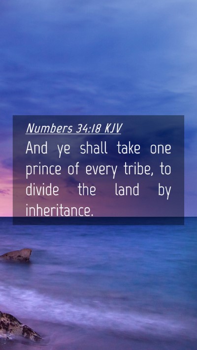 Picture 04 - Numbers 34:18 KJV Mobile Phone Wallpaper - And ye shall take one prince of every tribe, to - Mobile Bible Verse Wallpaper