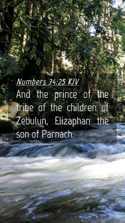 Picture 04 - Numbers 34:25 KJV Mobile Phone Wallpaper - And the prince of the tribe of the children of - Mobile Bible Verse Wallpaper