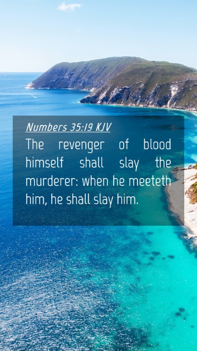Picture 04 - Numbers 35:19 KJV Mobile Phone Wallpaper - The revenger of blood himself shall slay the - Mobile Bible Verse Wallpaper