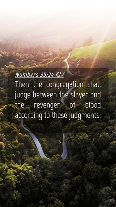 Picture 04 - Numbers 35:24 KJV Mobile Phone Wallpaper - Then the congregation shall judge between the - Mobile Bible Verse Wallpaper