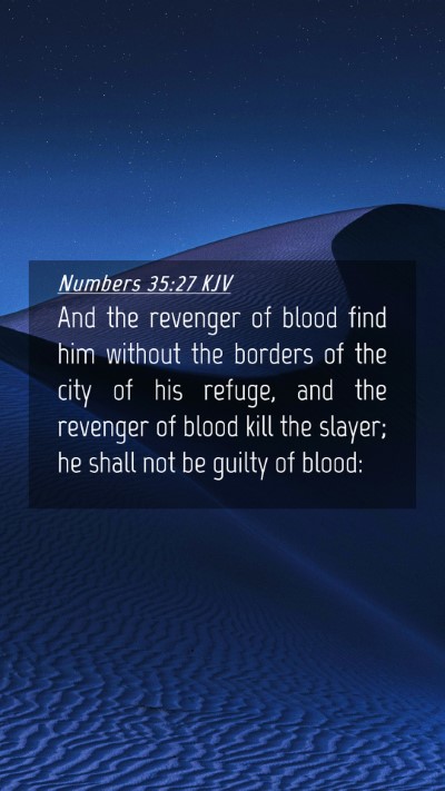 Picture 04 - Numbers 35:27 KJV Mobile Phone Wallpaper - And the revenger of blood find him without the - Mobile Bible Verse Wallpaper