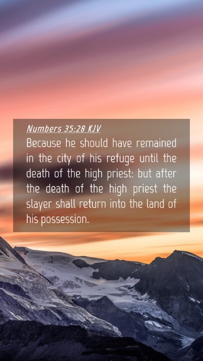 Picture 04 - Numbers 35:28 KJV Mobile Phone Wallpaper - Because he should have remained in the city of - Mobile Bible Verse Wallpaper