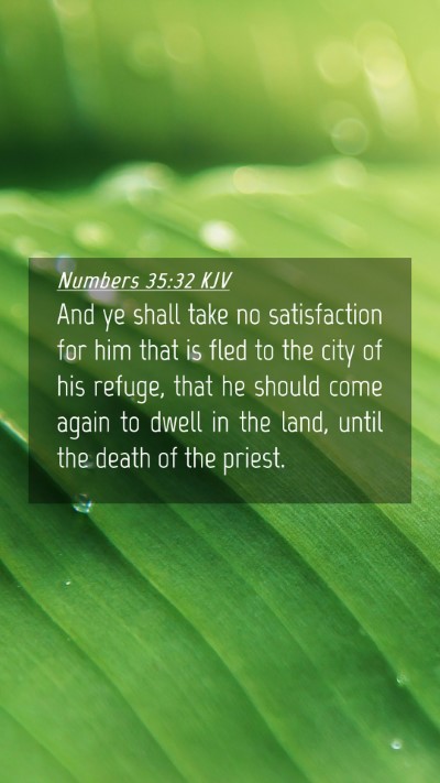 Picture 04 - Numbers 35:32 KJV Mobile Phone Wallpaper - And ye shall take no satisfaction for him that is - Mobile Bible Verse Wallpaper