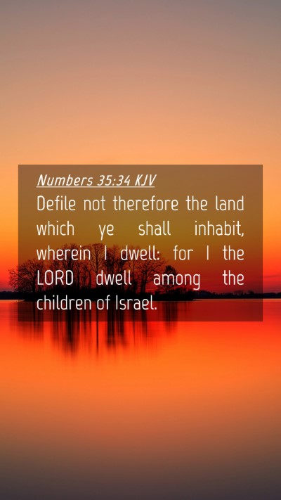 Picture 04 - Numbers 35:34 KJV Mobile Phone Wallpaper - Defile not therefore the land which ye shall - Mobile Bible Verse Wallpaper