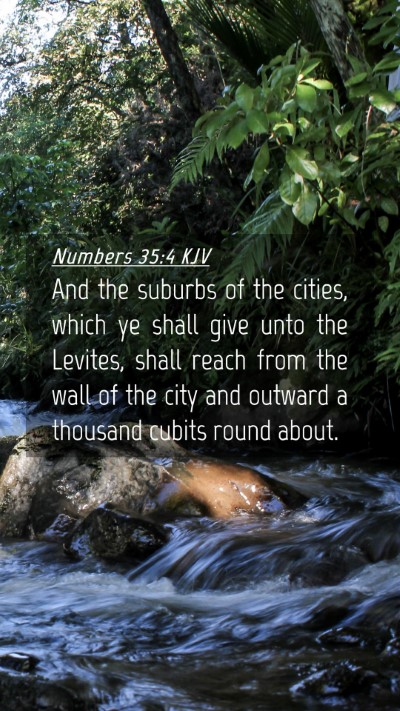 Picture 04 - Numbers 35:4 KJV Mobile Phone Wallpaper - And the suburbs of the cities, which ye shall - Mobile Bible Verse Wallpaper