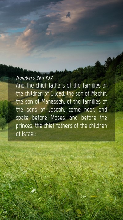 Picture 04 - Numbers 36:1 KJV Mobile Phone Wallpaper - And the chief fathers of the families of the - Mobile Bible Verse Wallpaper
