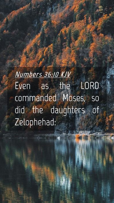 Picture 04 - Numbers 36:10 KJV Mobile Phone Wallpaper - Even as the LORD commanded Moses, so did the - Mobile Bible Verse Wallpaper