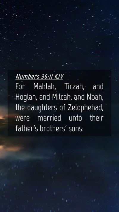 Picture 04 - Numbers 36:11 KJV Mobile Phone Wallpaper - For Mahlah, Tirzah, and Hoglah, and Milcah, and - Mobile Bible Verse Wallpaper
