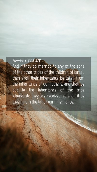 Picture 04 - Numbers 36:3 KJV Mobile Phone Wallpaper - And if they be married to any of the sons of the - Mobile Bible Verse Wallpaper