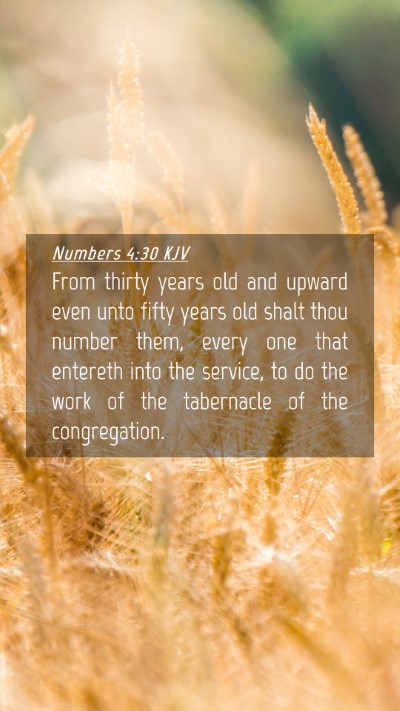 Picture 04 - Numbers 4:30 KJV Mobile Phone Wallpaper - From thirty years old and upward even unto fifty - Mobile Bible Verse Wallpaper