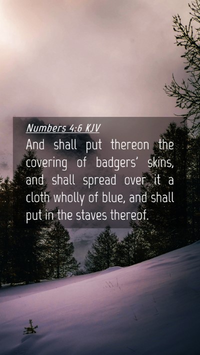 Picture 04 - Numbers 4:6 KJV Mobile Phone Wallpaper - And shall put thereon the covering of badgers' - Mobile Bible Verse Wallpaper