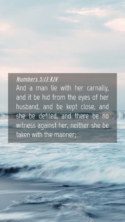 Picture 04 - Numbers 5:13 KJV Mobile Phone Wallpaper - And a man lie with her carnally, and it be hid - Mobile Bible Verse Wallpaper