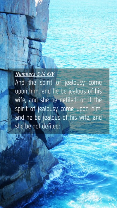 Picture 04 - Numbers 5:14 KJV Mobile Phone Wallpaper - And the spirit of jealousy come upon him, and he - Mobile Bible Verse Wallpaper