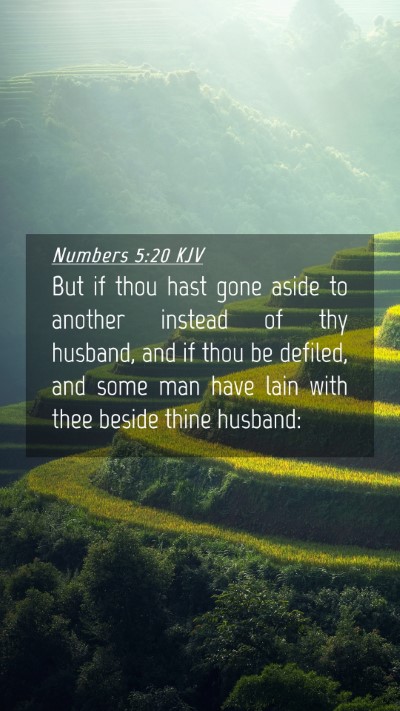 Picture 04 - Numbers 5:20 KJV Mobile Phone Wallpaper - But if thou hast gone aside to another instead of - Mobile Bible Verse Wallpaper