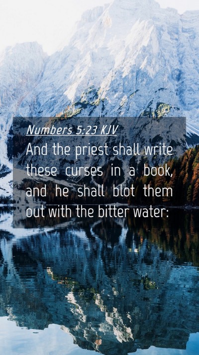 Picture 04 - Numbers 5:23 KJV Mobile Phone Wallpaper - And the priest shall write these curses in a - Mobile Bible Verse Wallpaper