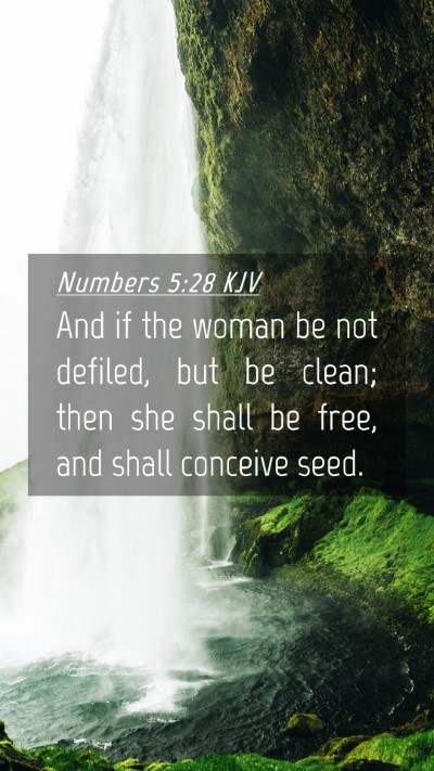 Picture 04 - Numbers 5:28 KJV Mobile Phone Wallpaper - And if the woman be not defiled, but be clean; - Mobile Bible Verse Wallpaper