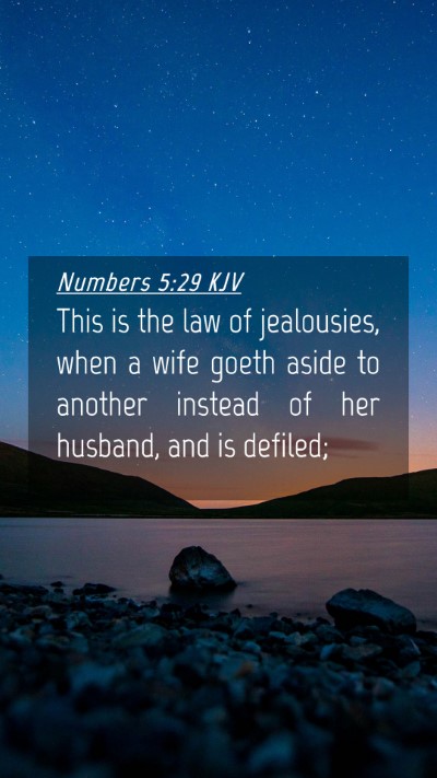 Picture 04 - Numbers 5:29 KJV Mobile Phone Wallpaper - This is the law of jealousies, when a wife goeth - Mobile Bible Verse Wallpaper