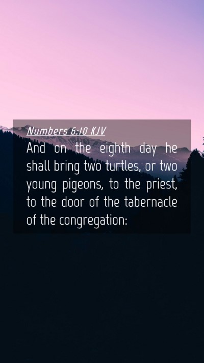 Picture 04 - Numbers 6:10 KJV Mobile Phone Wallpaper - And on the eighth day he shall bring two turtles, - Mobile Bible Verse Wallpaper
