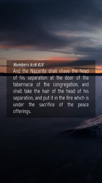 Picture 04 - Numbers 6:18 KJV Mobile Phone Wallpaper - And the Nazarite shall shave the head of his - Mobile Bible Verse Wallpaper