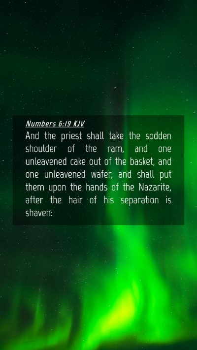 Picture 04 - Numbers 6:19 KJV Mobile Phone Wallpaper - And the priest shall take the sodden shoulder of - Mobile Bible Verse Wallpaper