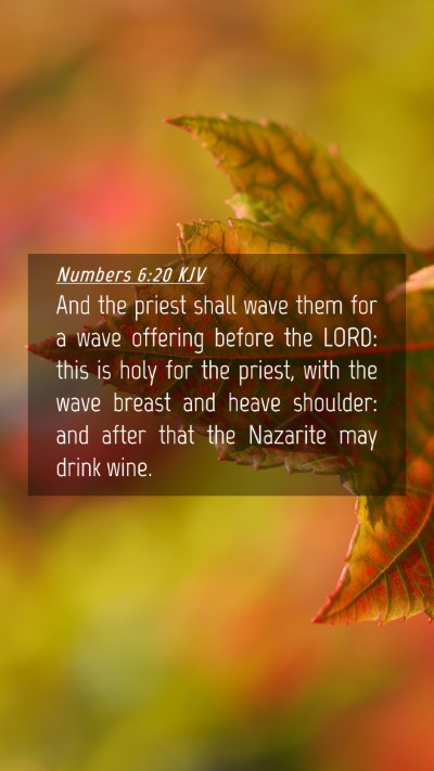 Picture 04 - Numbers 6:20 KJV Mobile Phone Wallpaper - And the priest shall wave them for a wave - Mobile Bible Verse Wallpaper